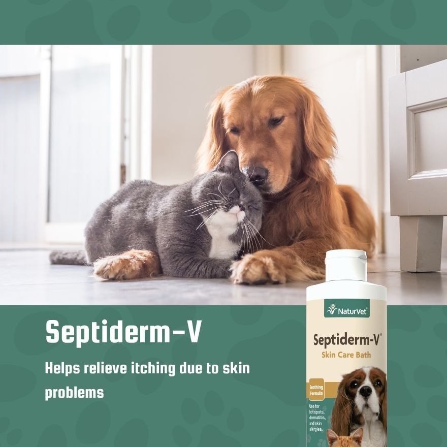 Septiderm V Bath 8Oz