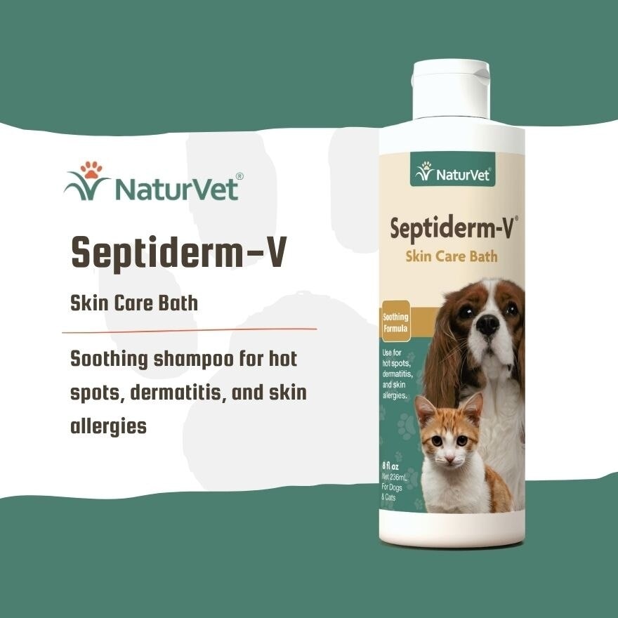 Septiderm V Bath 8Oz