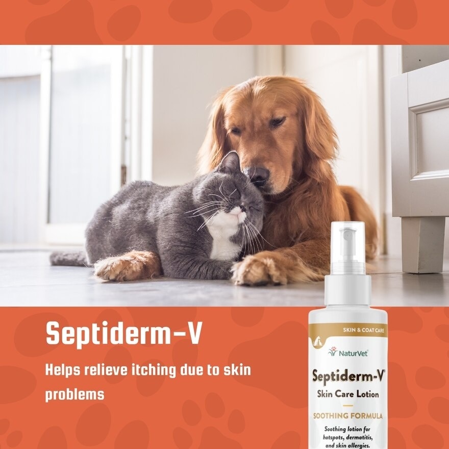 Septiderms V Skin Care Lotion 8Oz