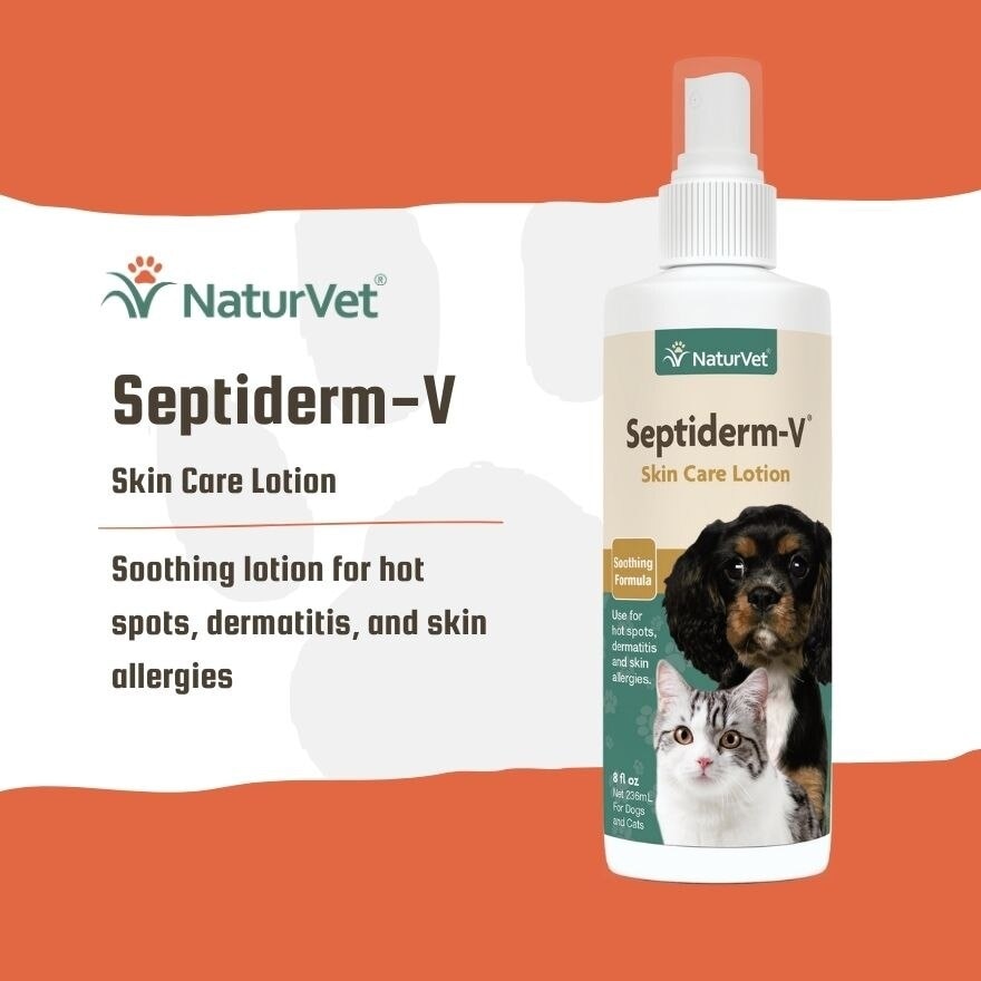 Septiderms V Skin Care Lotion 8Oz