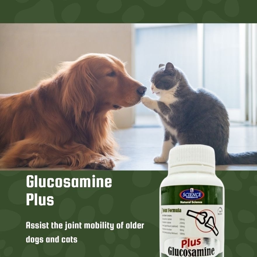 As Glucosamine Plus 60s