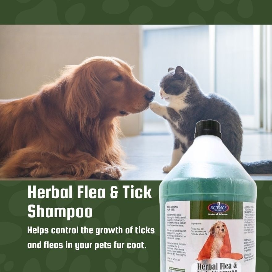 As Herbal Flea And Tick Shampoo 1 Gallon