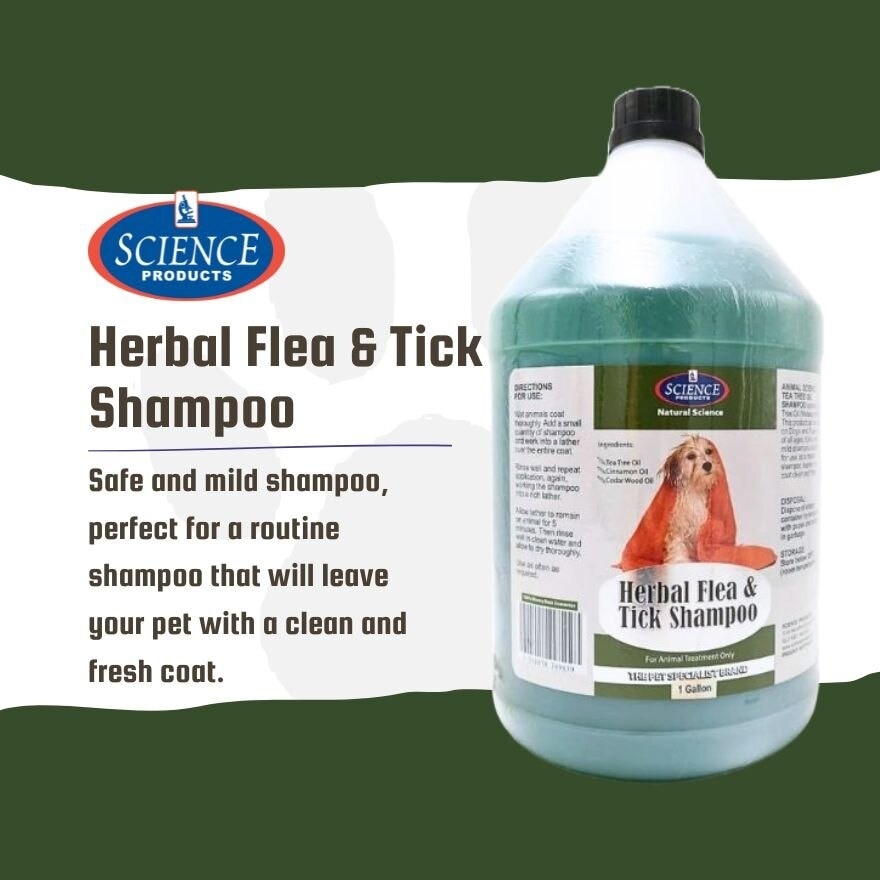 As Herbal Flea And Tick Shampoo 1 Gallon