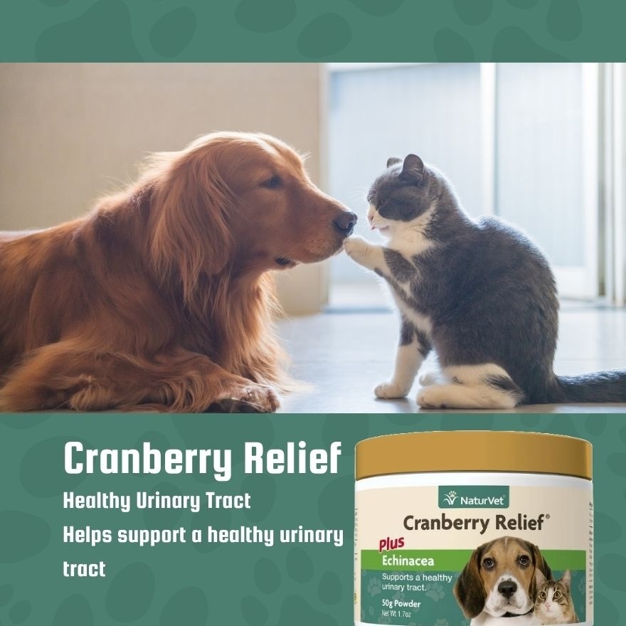 Cranberry Relief Powder 50G