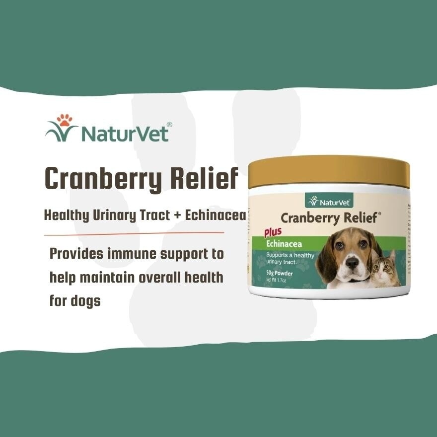 Cranberry Relief Powder 50G