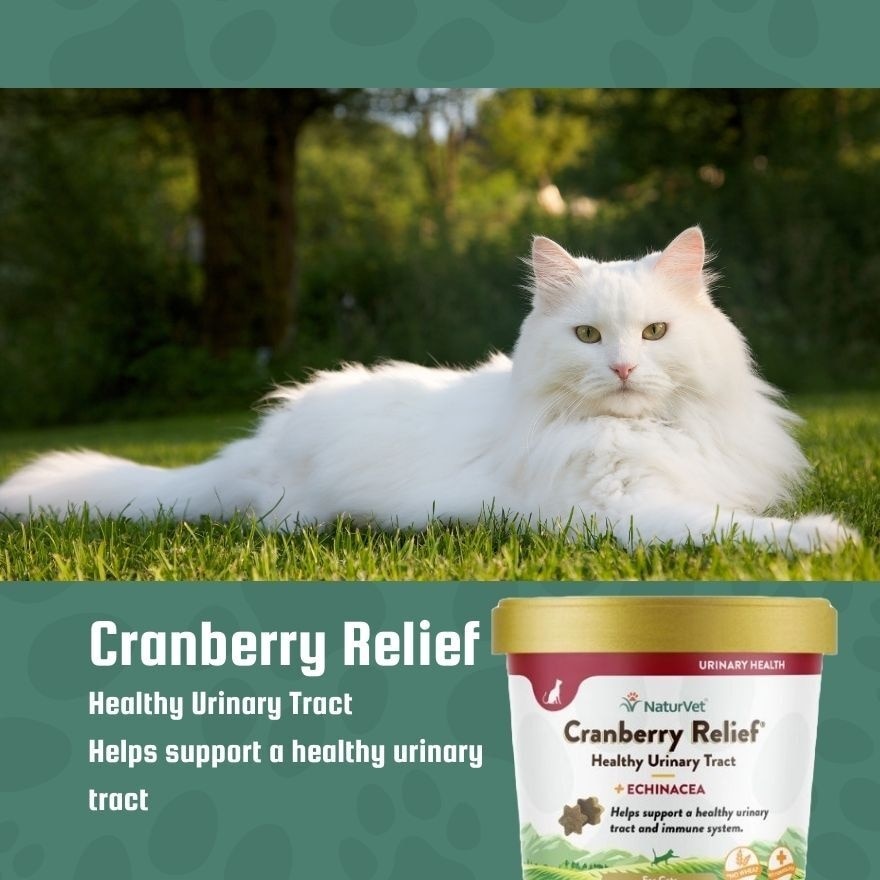 Cranberry Relief Cat Soft Chews 60s
