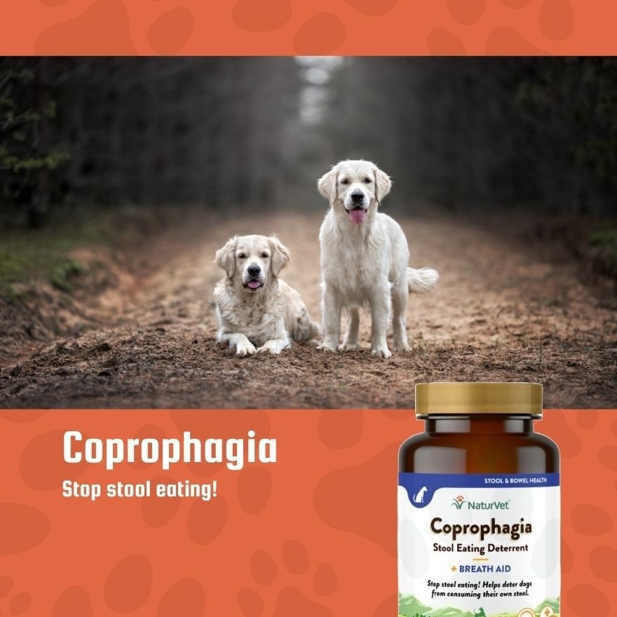 Coprophagia Stool Eating Deterrent Chewable Tablets 60s