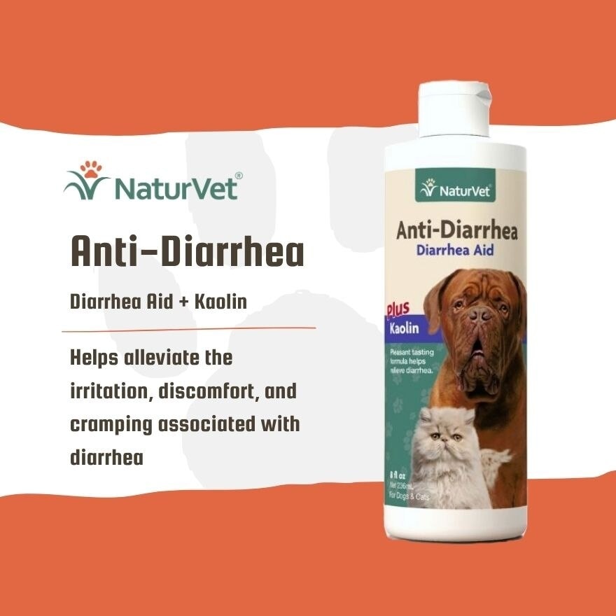 Anti Diarrhea Liquid