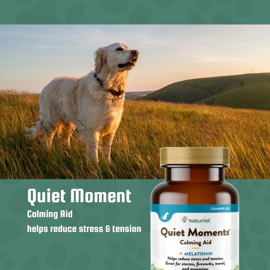 Quiet Moments Calming Aid Tablets 30s