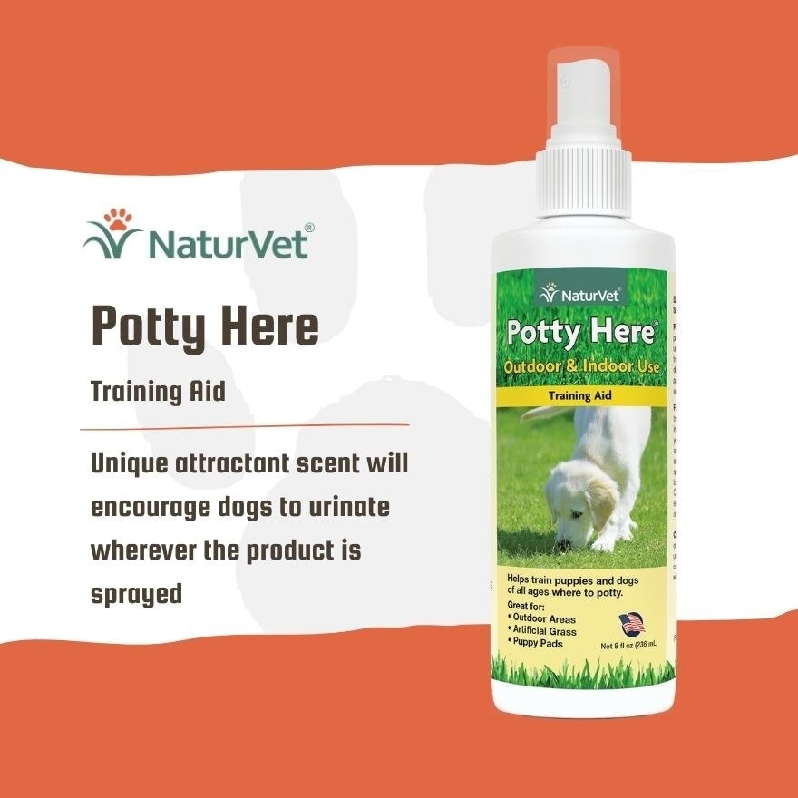 Pottty Here Training Aid Spray 8Oz