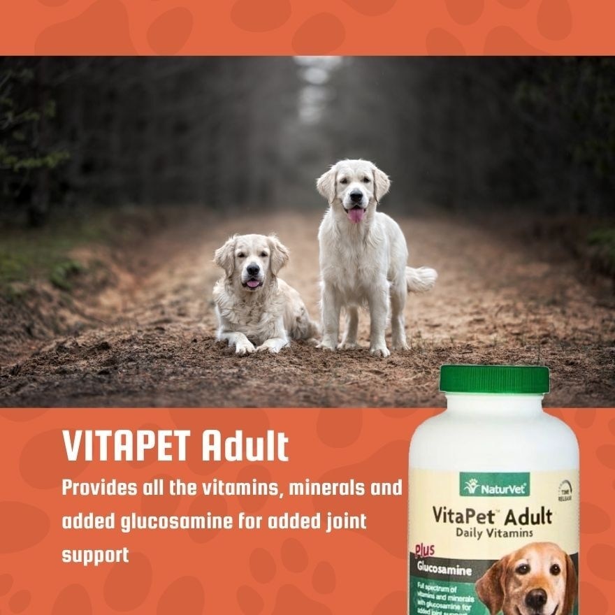 Vitapet Adult Daily Vitamins With Glucosamine Chewable Tablets 60s