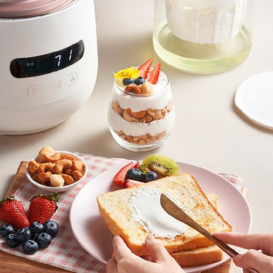 Yogurt & Enzymes Maker BYEM-W20L