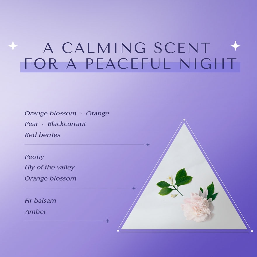 Calm Night Repair Shampoo 475ml