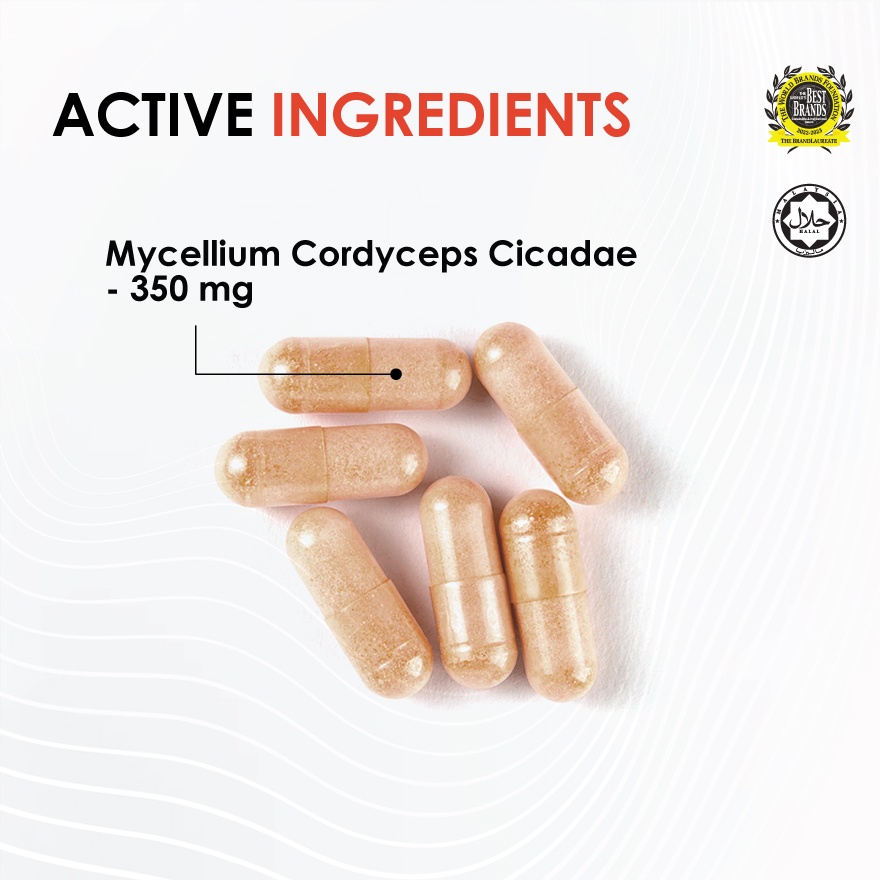 Cordyceps Cicadae 60s image