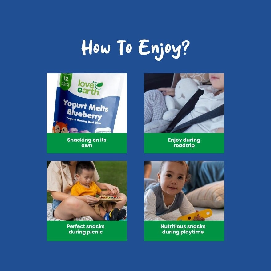 Yogurt Melt Blueberry 20g