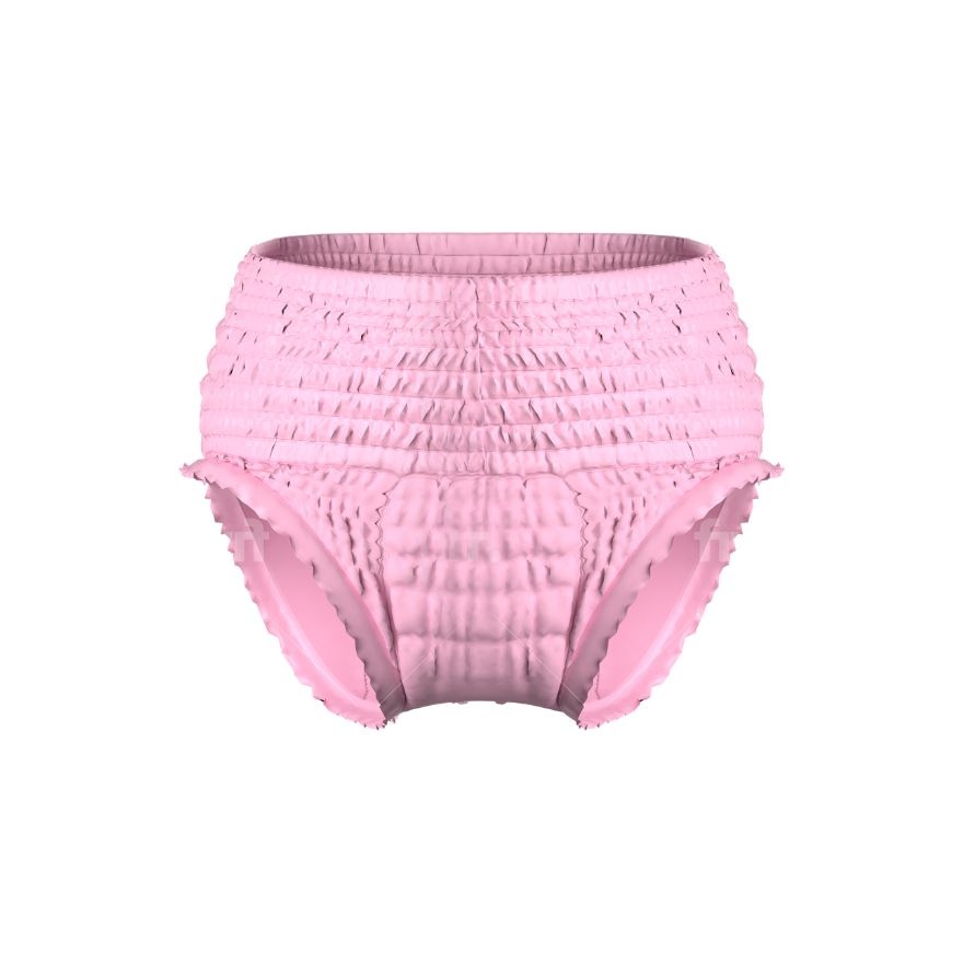 Overnite Sanitary Panties (4pack) L-XL