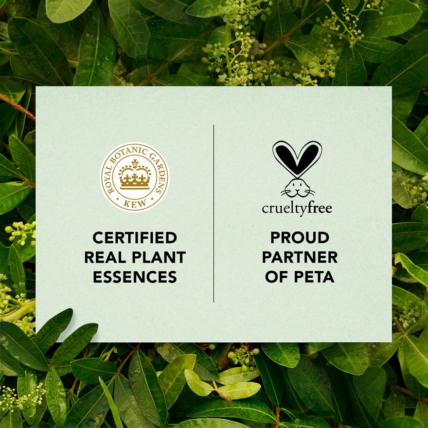 Aloe & Eucalyptus Conditioner 400ml