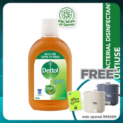 DETTOL Antiseptic Liquid 250ml