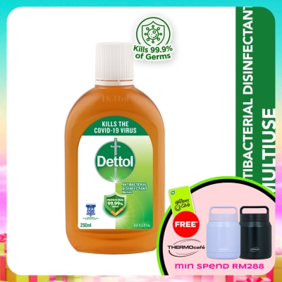 DETTOL - Antiseptic Liquid 250ml