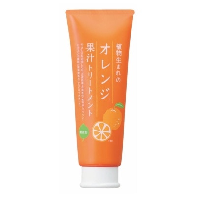 ISHIZAWA Orange Scalp Treatment N 250g