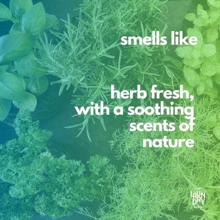 Triple-Chamber Pods - Green Botanica (15s)