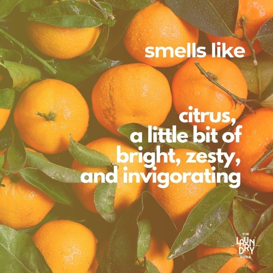 Single-Chamber Pods -Orange Citrus (30s)