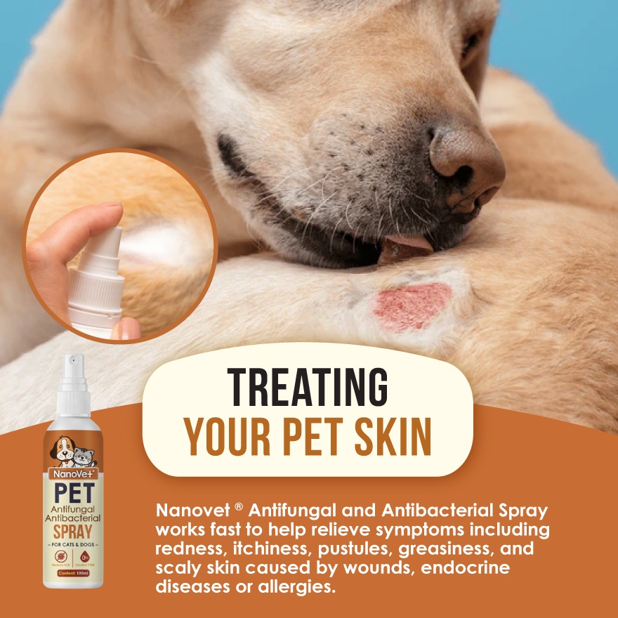 Antifungal and Antibacterial Spray 100ml image