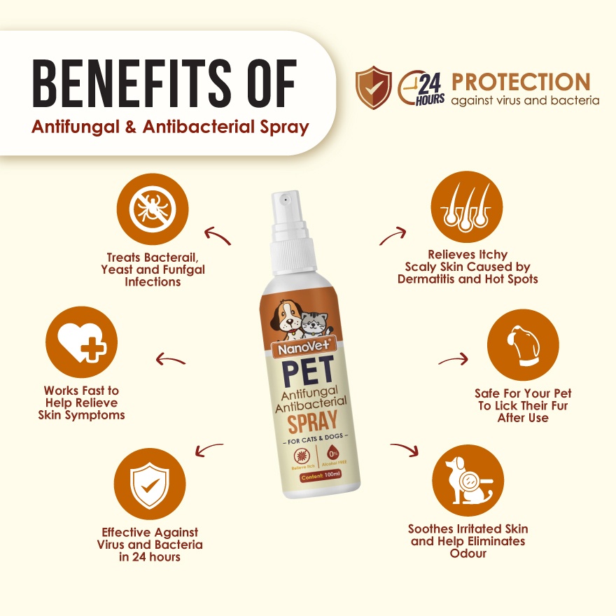 Antifungal and Antibacterial Spray 100ml image