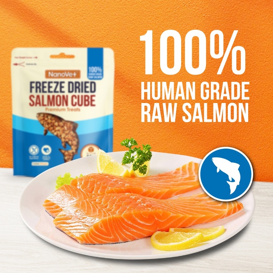 Freeze Dried Salmon Cube Premium Treats 200gm