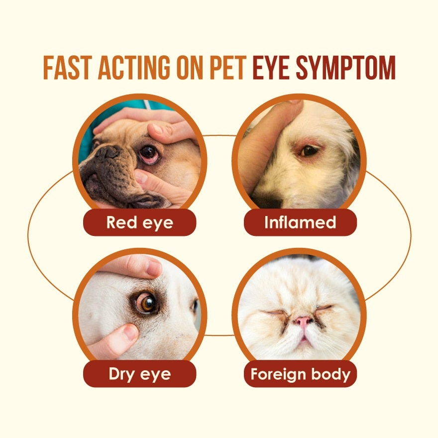 Pet Eye & Tear Stain Solution Kit