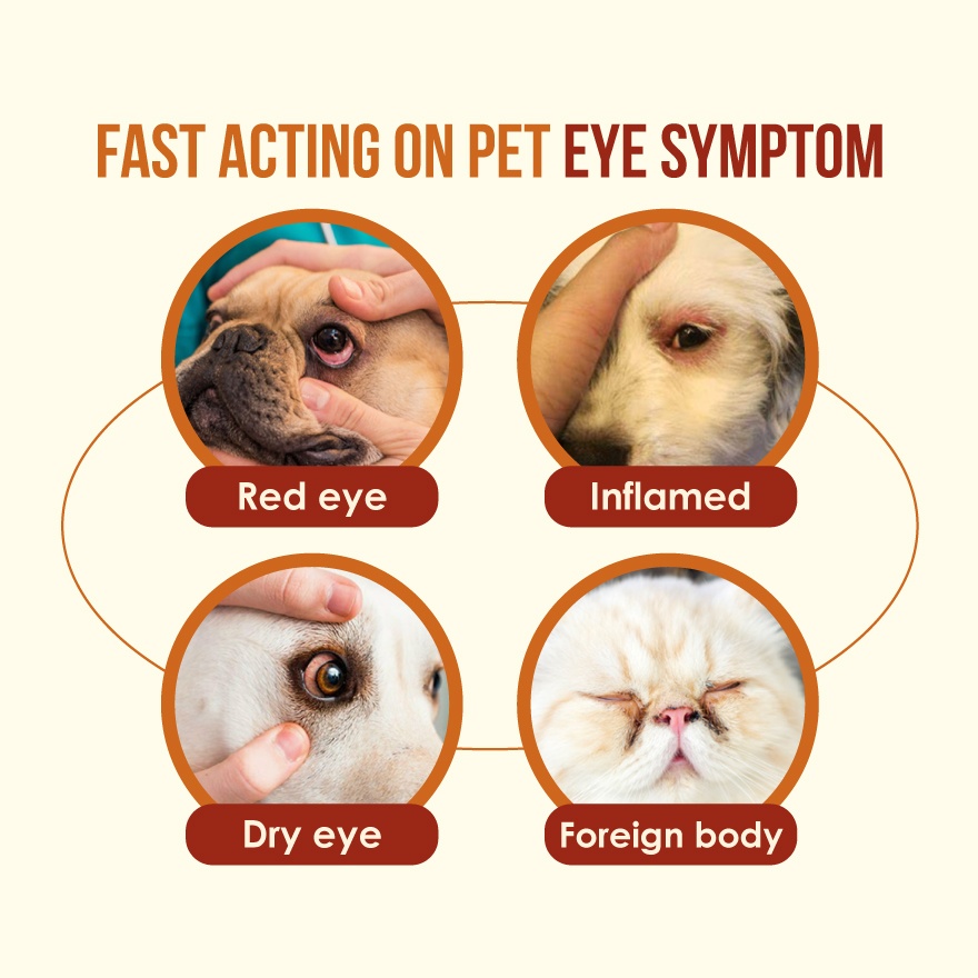 Pet Eye & Tear Stain Solution Kit image