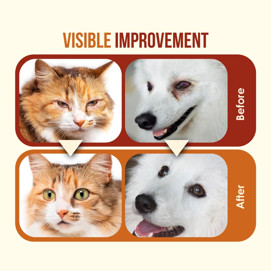 Pet Eye & Tear Stain Solution Kit image