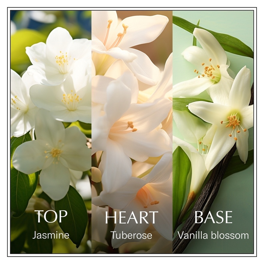 Eau De Toilette Jasmine (Bali) 100ml