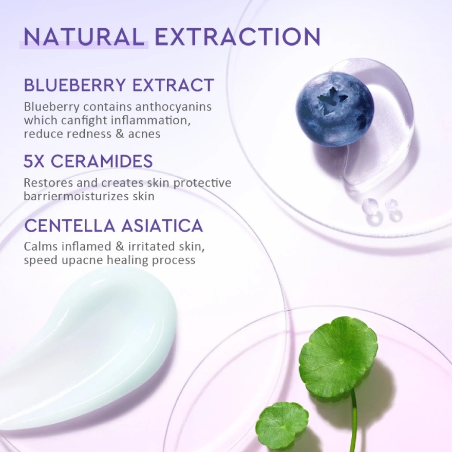 Blueberry Ceramide Barrier Repair Kit (Cleanser 70ml + Moisturizer 30g) image