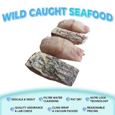 BEACON Wild Caught Sabah Golden Snapper Fillet 150g