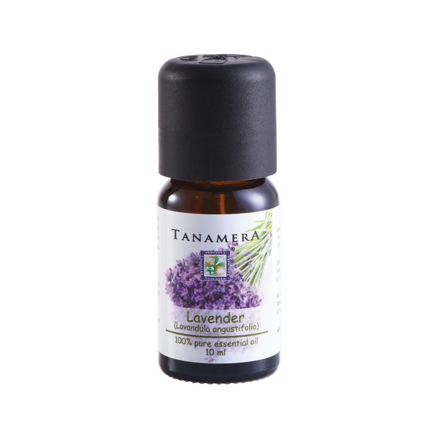 Lavender Essential Oil 10ml