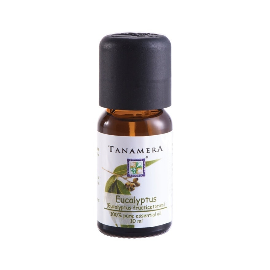 Eucalyptus Essential Oil 10ml