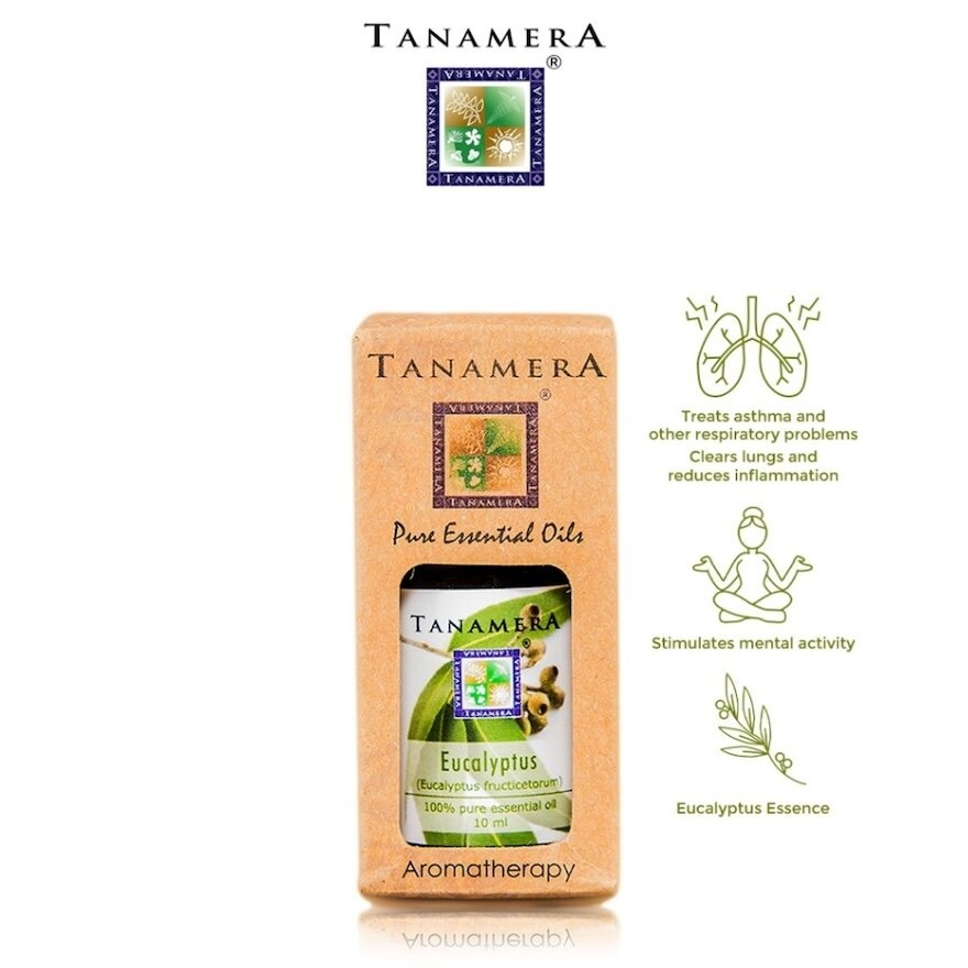 Eucalyptus Essential Oil 10ml