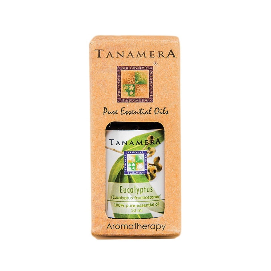 Eucalyptus Essential Oil 10ml