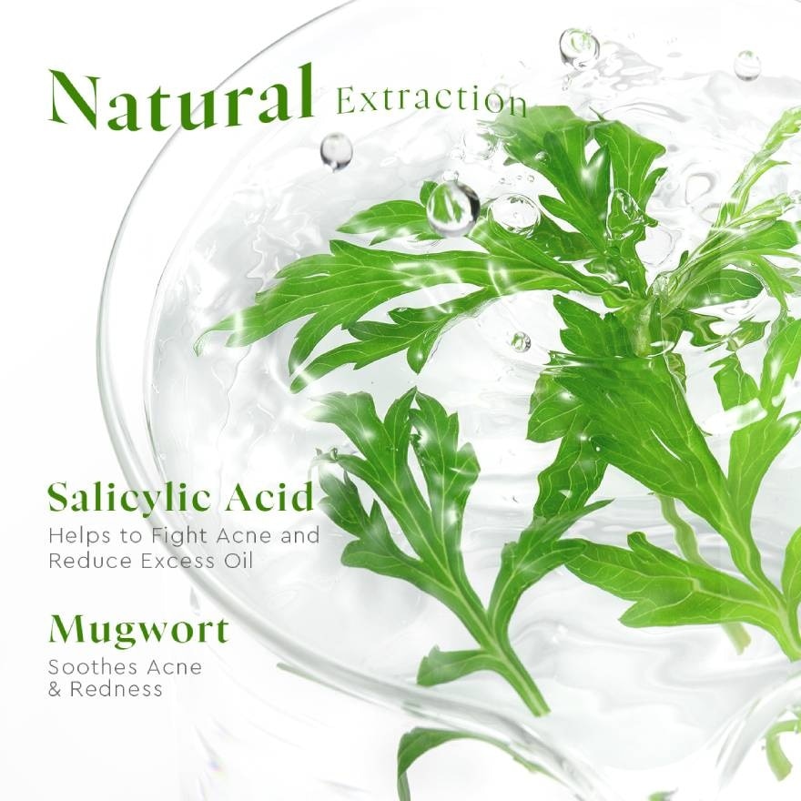 Mugwort Salicylic Acid Acne Clear Micellar Water 300ml
