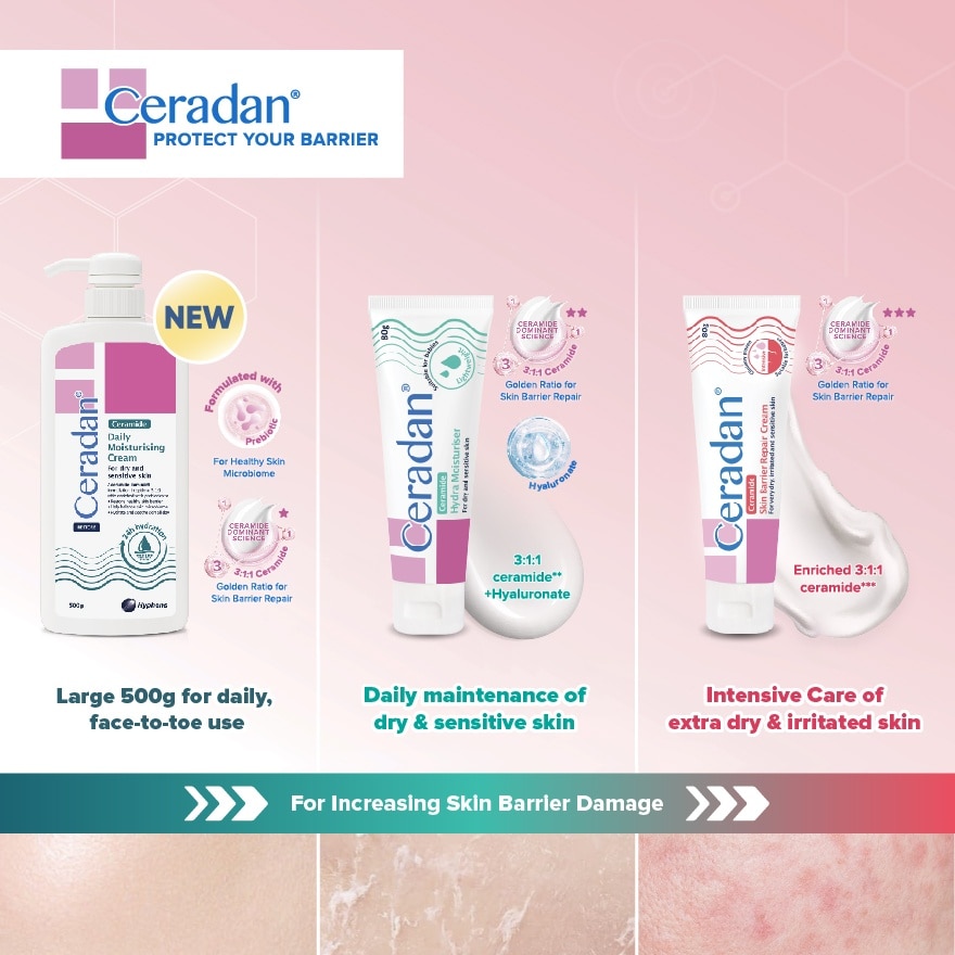 Daily Moisturising Cream 500g