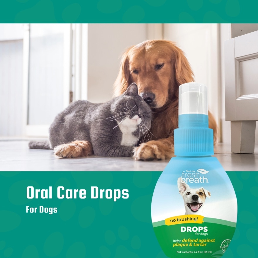 Fresh Breath Drops For Dogs