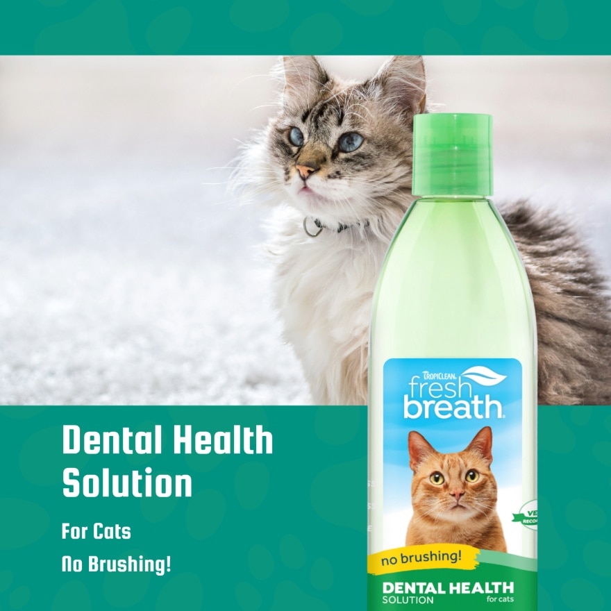 Fresh Breath Dental Health Solution for Cats