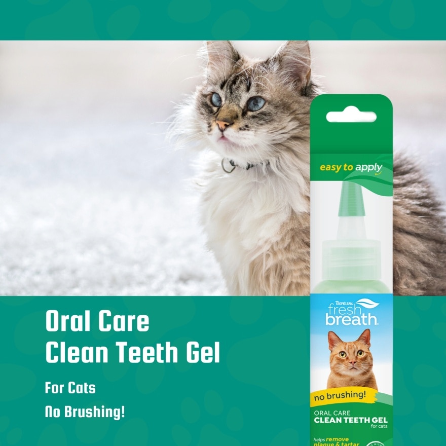 Fresh Breath Oral Care Clean Teeth Gel for Cats