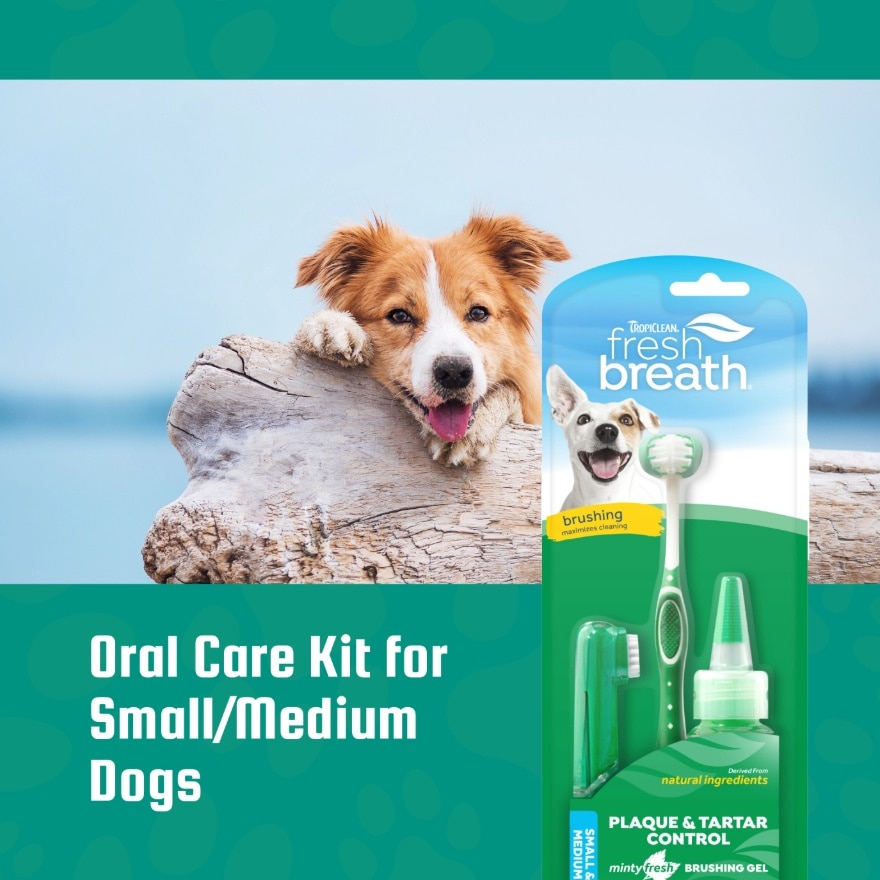 Fresh Breath Oral Care Kit for Small & Medium Dogs
