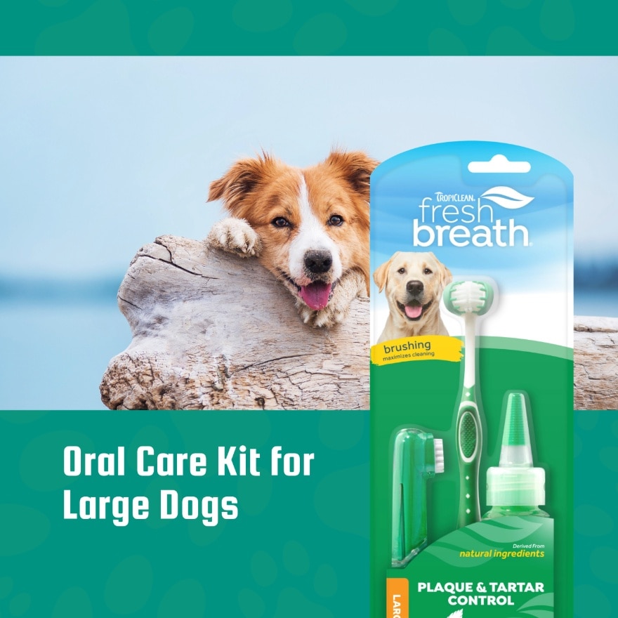 Fresh Breath Oral Care Kit for Large Dogs