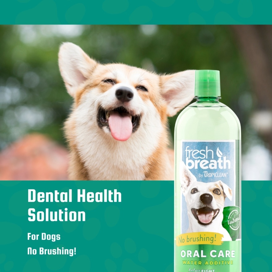 Dental Health Solution for Dogs 33.8oz.(1L)