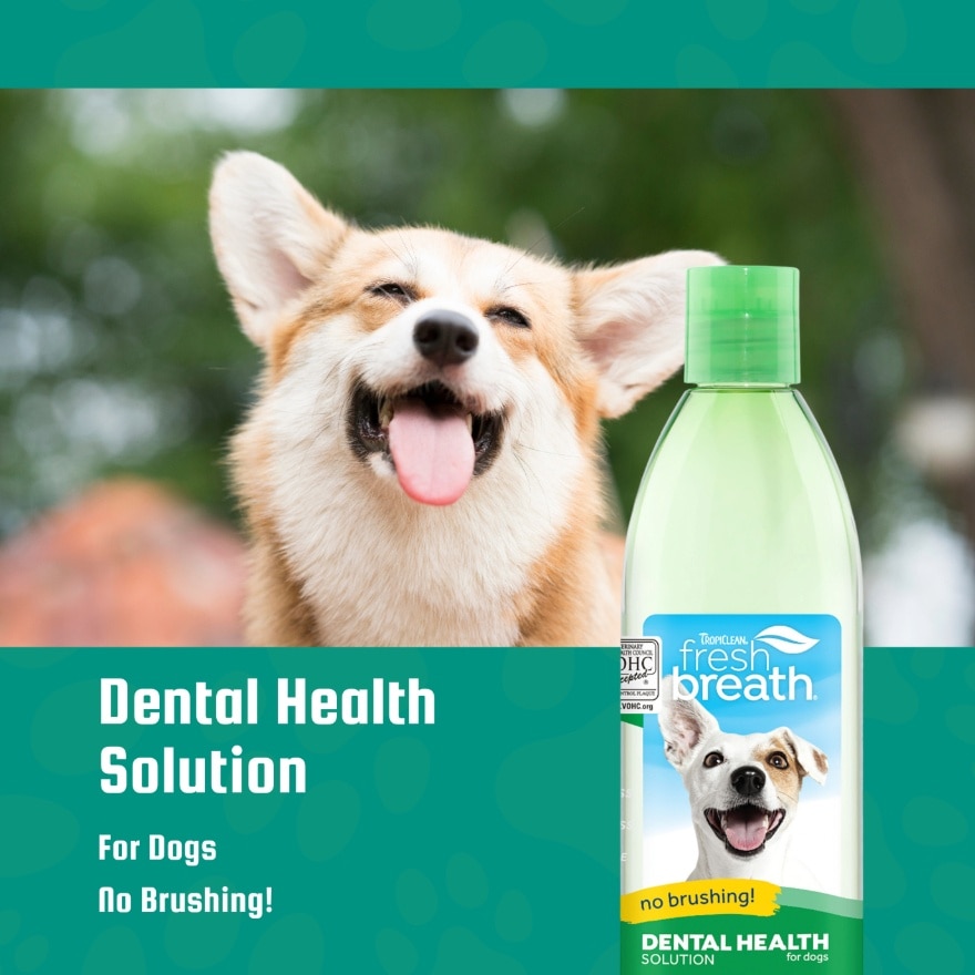 Dental Health Solution For Dogs 16oz(473ml)