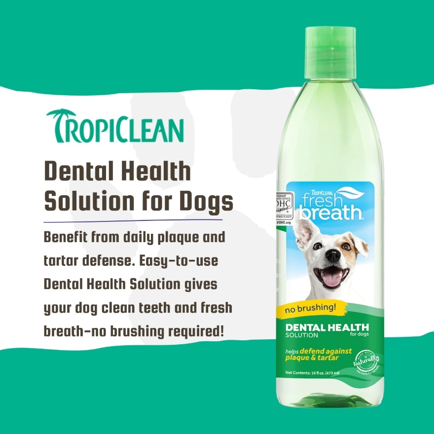 Dental Health Solution For Dogs 16oz(473ml)