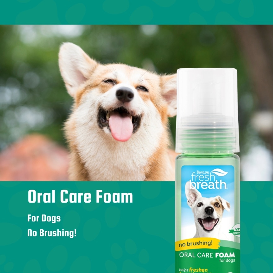 Fresh Breath Oral Care Foam For Dogs